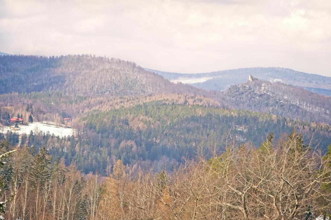 Willa "Sniezna Kopa"-Agroturystyka Pro Zdrowotna Villa Sosnówka Exterior foto